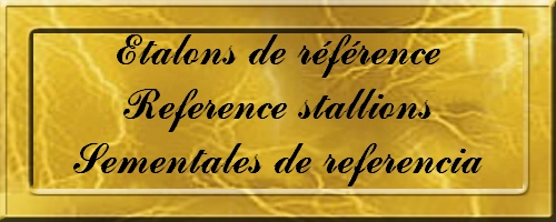 ETALON - REFERENCIA