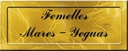 FEMELLE YEGUAS PETIT