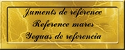 JUM REFERENCIA PETIT