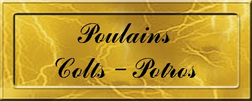 POULAIN - POTROS