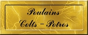 POLAINS-POTROS