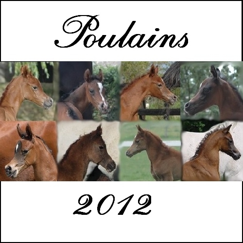poulain 2012
