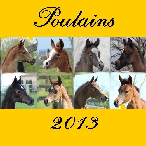 poulains 2013j