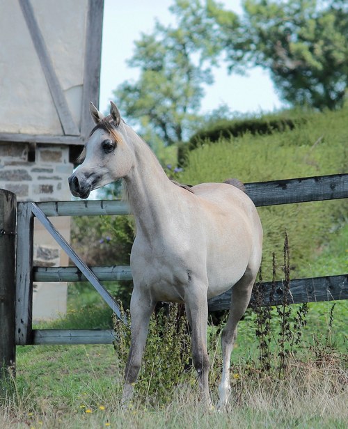 LOUNA3759