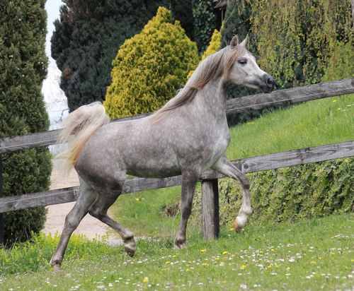 valea5628
