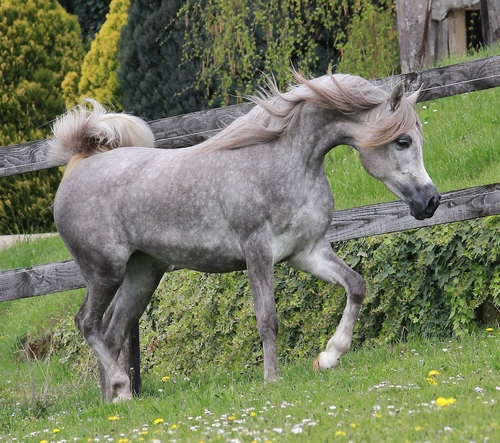 valea5657