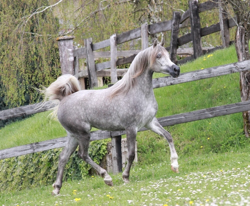 valea5665