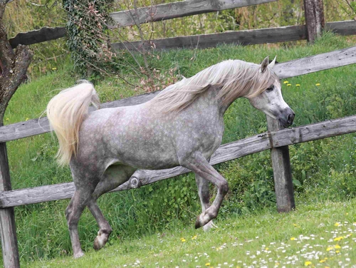 valea5691