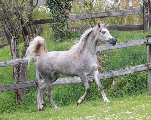 valea5718