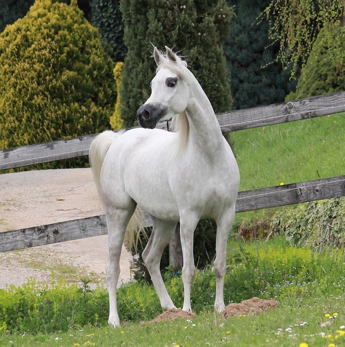 VALESKA5765