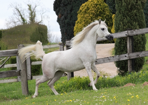 VALESKA5770