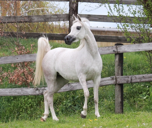 VALESKA5829