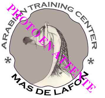 MDL-PROVISOIRE
