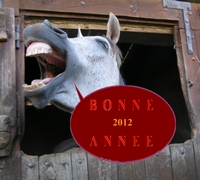 bonne