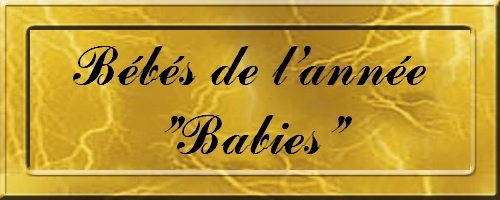 bebe_babies