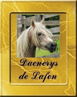DAENERYS_VIGNETTE
