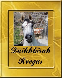 daihhkirah_vignette