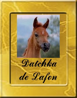 DATCHKA-VIGNETTE