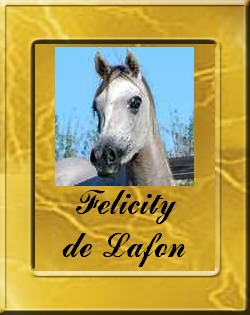 felicity_vignette
