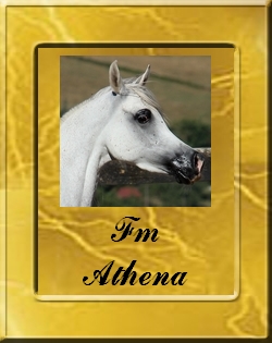 fm_athena_vignette