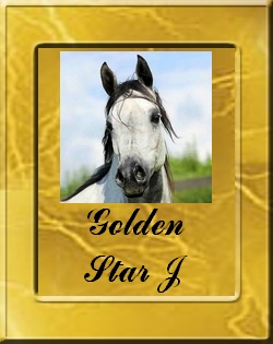 GOLDEN VIGN
