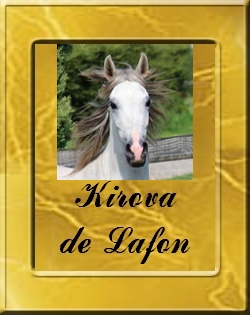 KIROVA-VIGNETTE
