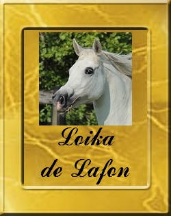 LOIKA KALLISTE