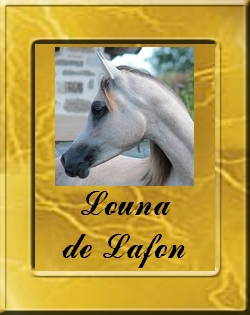 LOUNA DE LAFON