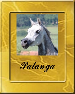 PALANGA