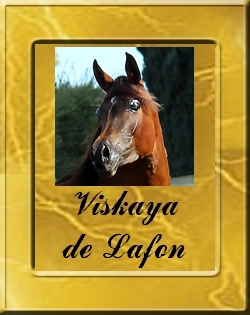 VISKAYA DE LAFON