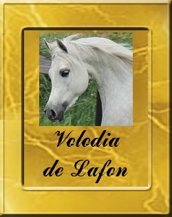 VOLODIA DE LAFON