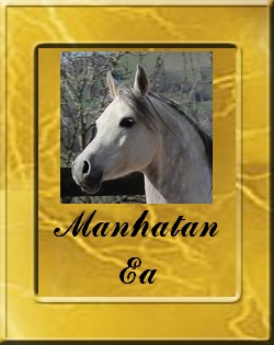 MANHATAN_VIGNET