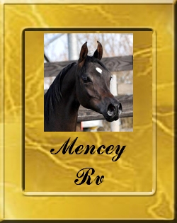 MENCEY RV
