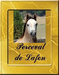 PERCEVAL