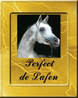 PERFECT DE LAFON