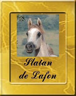 SLATAN_VIGNETTE
