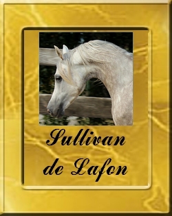 SULLIVAN_VIGNETTE