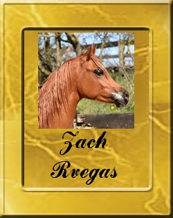 zach_vignette