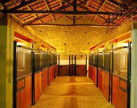 centre 1